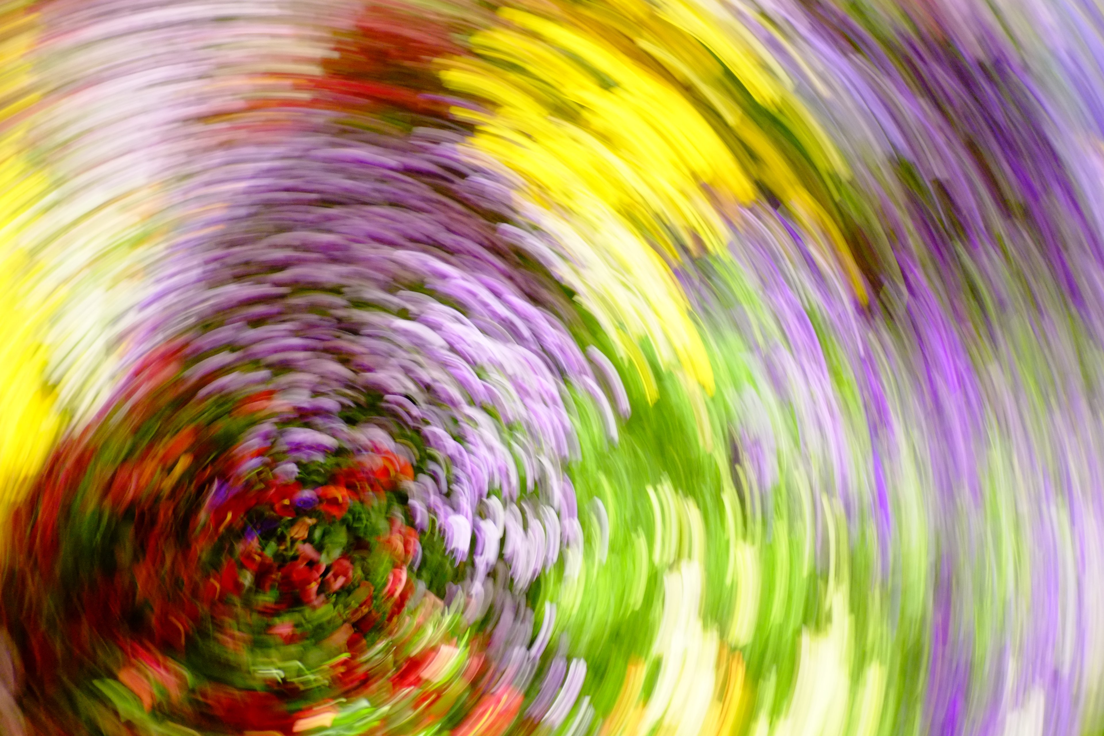 Long-exposure swirl of flower-bed colour — purple, yellow and green in a vortex